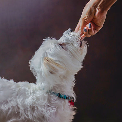 Ketogenic Pet Foods™ - Beef Heart & Liver